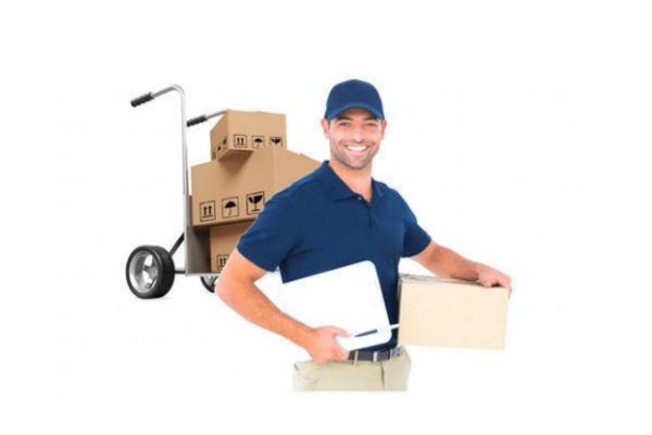 How to Save Time and Money with Professional Movers and Packers in Jodhpur