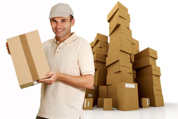 How to Save Time and Money with Professional Movers and Packers in Jaipur
