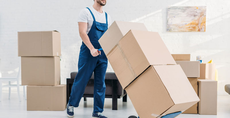 “DIY vs. Professional Packing: When to Hire Movers and Packers in Kota”